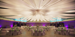Allure Decodesign attached image